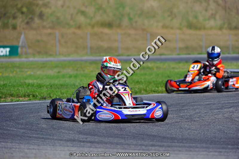 DSC_ (1251).jpg